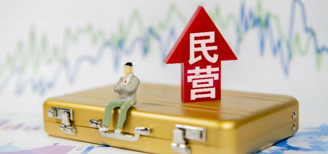 关于支持民营企业加快改革发展与转型升级的实施意见