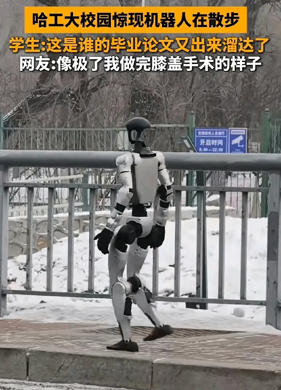 美国大学受松鼠启发研发单腿跳跃机器人 可在狭窄支撑物上平稳着陆